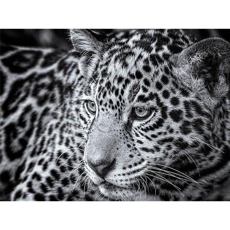 5D DIY Diamantmalerei Tier Kreuzstich Handwerk Vollrunde Bohrer Diamantstickerei Heimdekor Geschenk