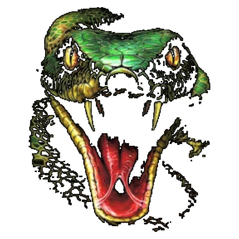 Oversized Crewneck T Shirt Black Snake Head Print Streetwear Casual Wear