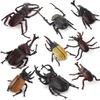 Allomyrina Dichotoma Model Pvc Realistic Display Scene For Science Education And Collectors