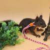 High Quality New Adjustable Pet Hamster Leash Nylon 1.4m Pet Cage Leash Nylon Walking Leash Comfortable Rat Mouse Hamster