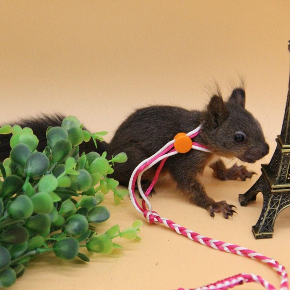 High Quality New Adjustable Pet Hamster Leash Nylon 1.4m Pet Cage Leash Nylon Walking Leash Comfortable Rat Mouse Hamster
