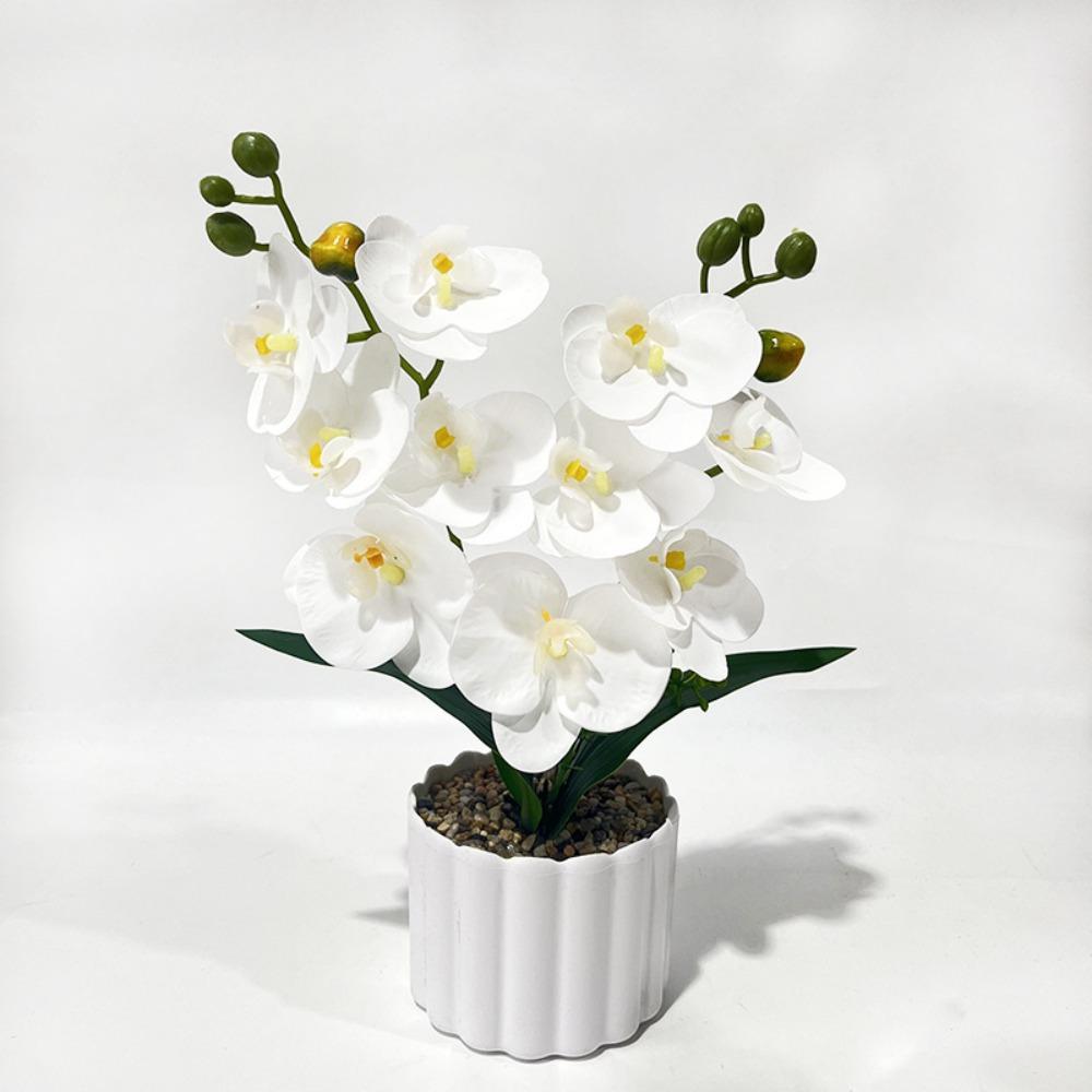 Plastic Simulation Bonsai 10 Blooms Faux Moth Orchid Potted  Desktop Oranemnt