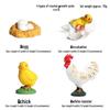 Mini Animal Growth Cycle Toys: Butterfly, Rooster, Ant, Frog, Sea Turtle, Dragonfly