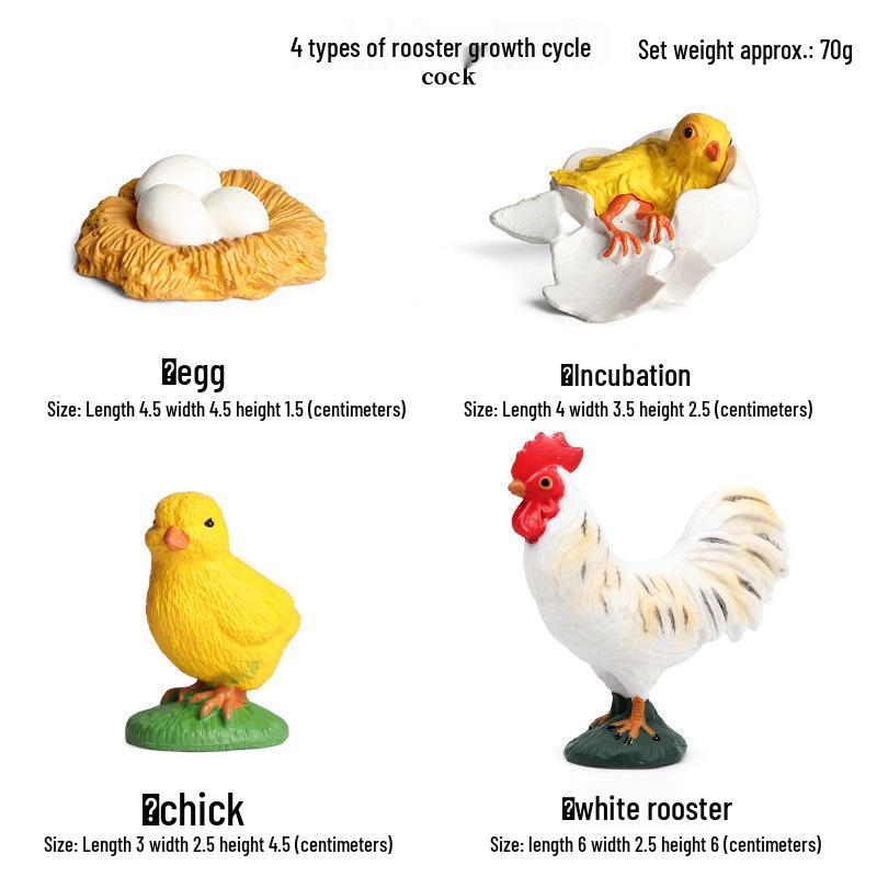 Mini Animal Growth Cycle Toys: Butterfly, Rooster, Ant, Frog, Sea Turtle, Dragonfly