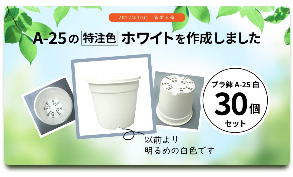 Plastic Pot White Set of 30 A-25 (Original White)