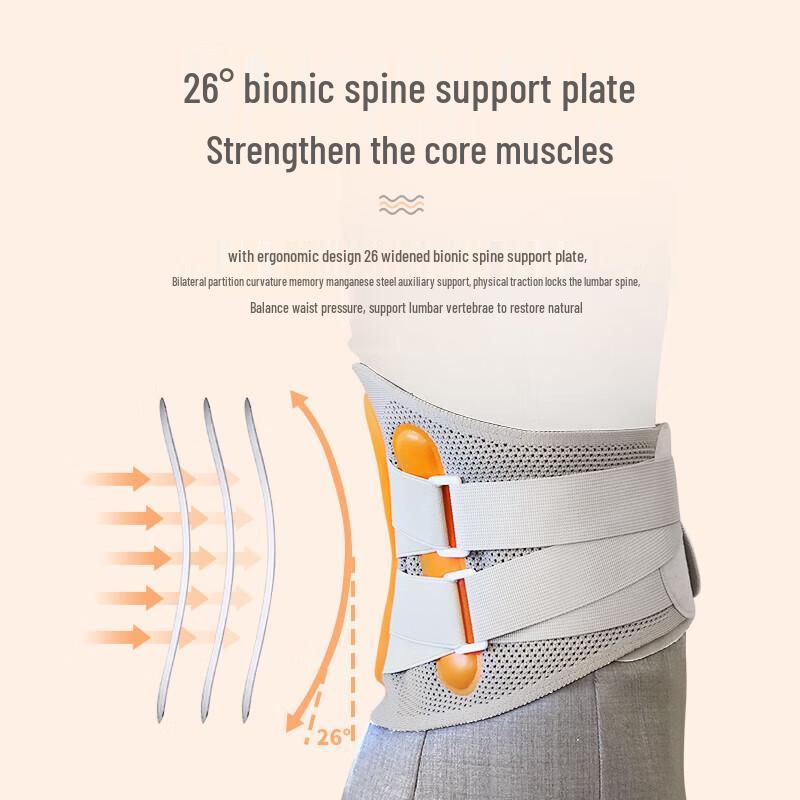 Morphy Richards Lendenwirbelstütze