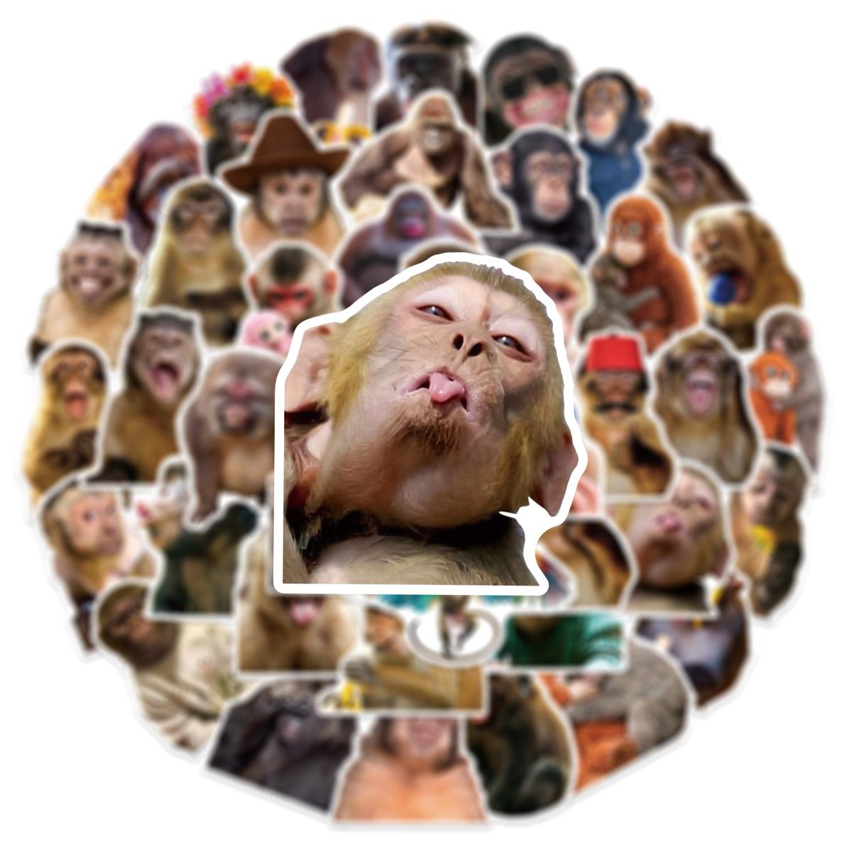 

50 Pcs Realistic Funny Monkey Stickers Pack, Waterproof Animal Decals for Suitcase Phone Case Laptop Car Helmet Skate Surfboard