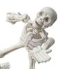 3D Printed Skeleton Action Figure Plastic Articulated Skeleton Toy with Movable Joints Collectible Action Figure for Desktop Decor