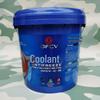 Langxi Dongfeng Mengshi -35°C Antifreeze Coolant