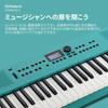 Roland GOKEYS3-TQ 61-Key Electronic Keyboard, Turquoise