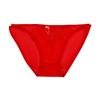 Women Lace-Trimmed Mesh Comfortable Transparent Breathable Embroidered Briefs