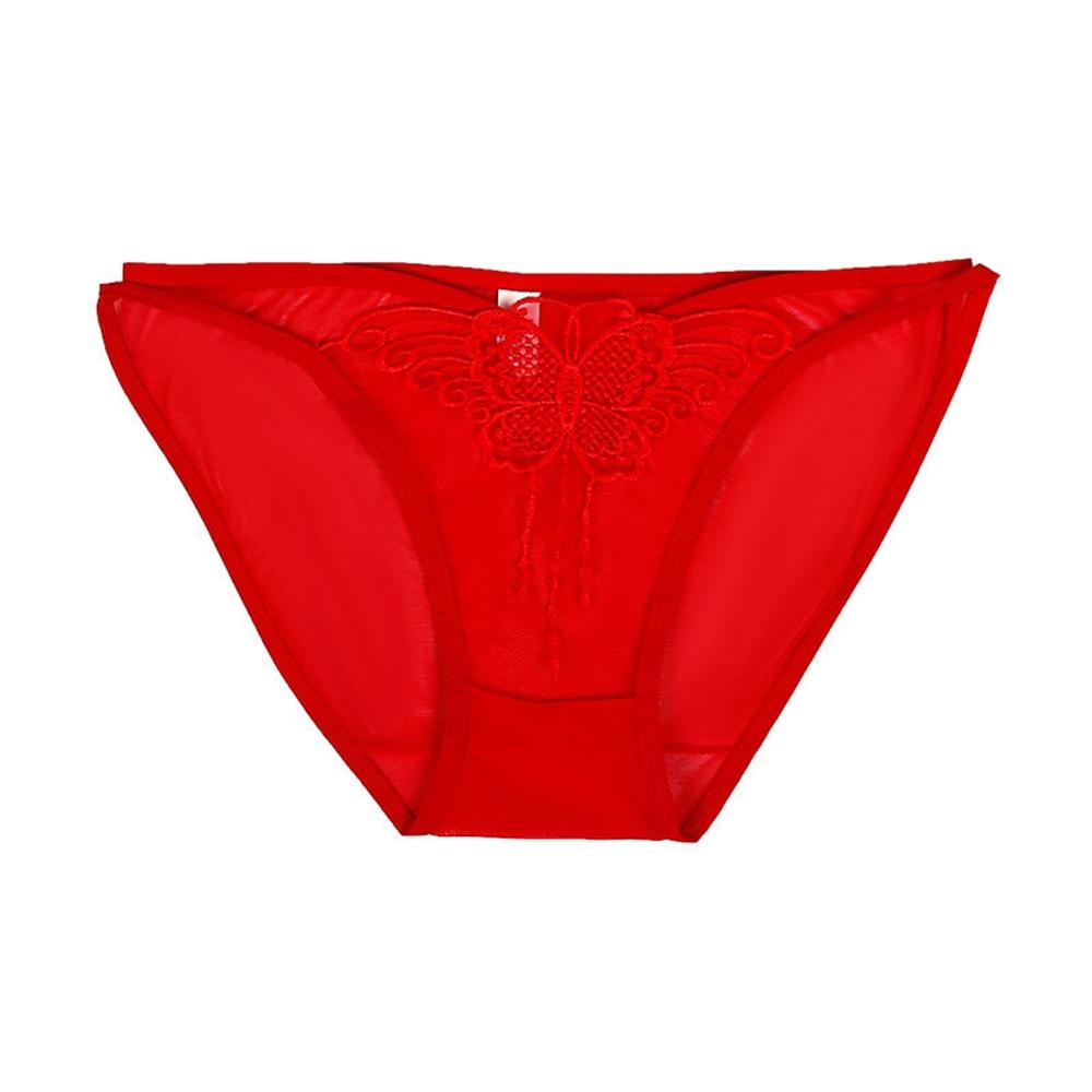 Women Lace-Trimmed Mesh Comfortable Transparent Breathable Embroidered Briefs