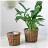 Permanentl Woven Desk Accessory Basket Organic Design Ideal For Home Organization