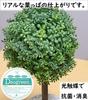 Nippon Insole Industry Interior Green Ornamental Plant Fake Mini Artificial Flower White with Pot Photocatalyst Deodorizing Disinfecting Made in
