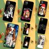 Cavalier King Charles Spaniel Hund Hülle Für iPhone 13 12 Mini 11 14 16 15 Pro Max 7 8 Plus X XR XS Max Rückabdeckung