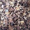 Yunnan Plateau Specialty: Wild Dried Shiitake Mushrooms