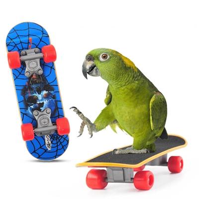 Pássaros – Brinquedos para pássaros