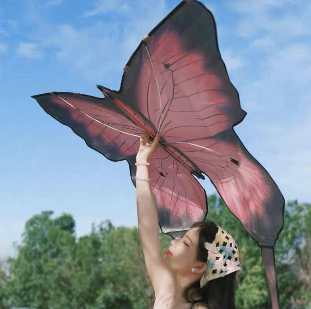Weifang Kinder Schmetterlingsdrachen - Leicht zu fliegen, Leichter Wind, Perfekt für Fotografie und Spaß im Park