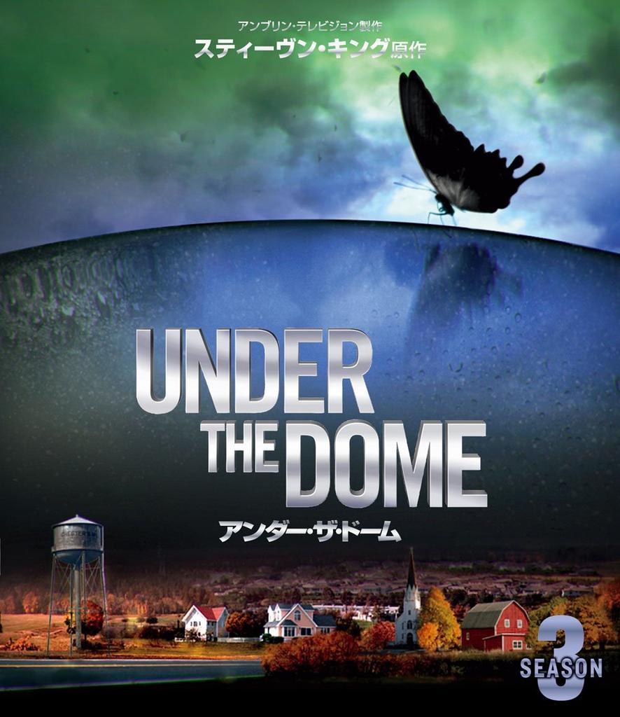 Under the Dome Final Season Selection Box (Special Set) [DVD]