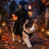 Kopfloser Reiter Haustierkostüm Katzenkostüm Halloween 3D Lustiger Reiter mit Kürbis Feiertag für Hunde Laterne Verstellbares Geschirr Kleine Katzen Cosplay