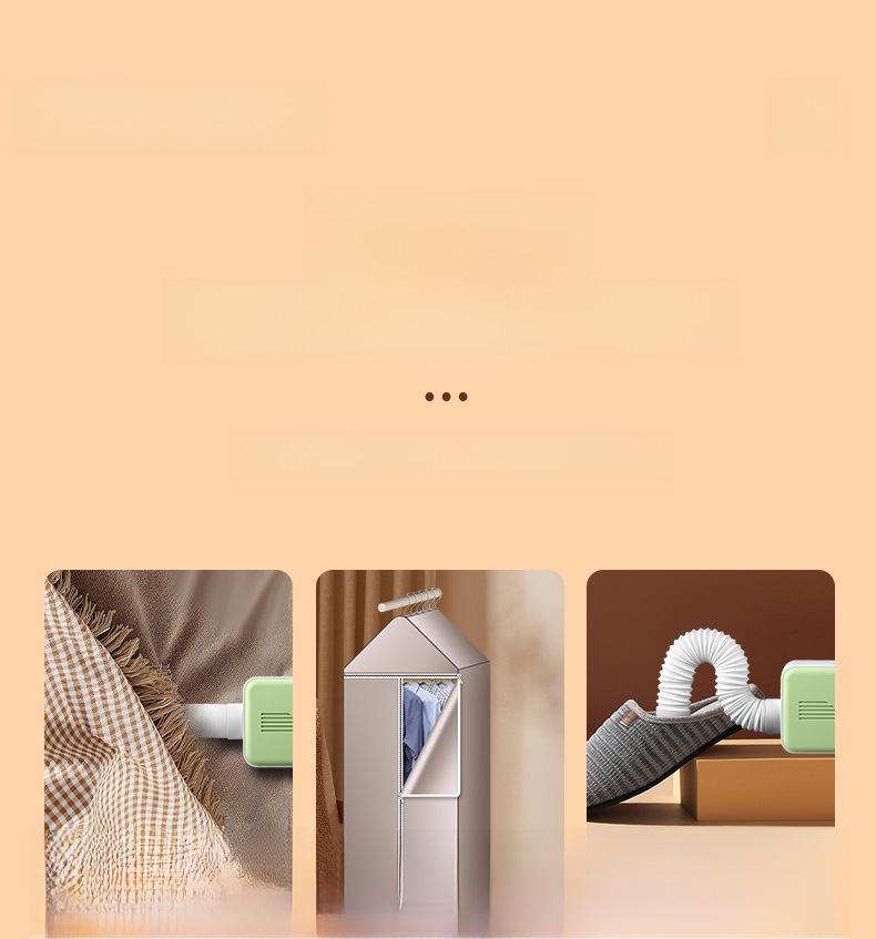 European Standard 110V Multi-Functional Dryer: For Shoes, Gloves, and Pet Mite Removal