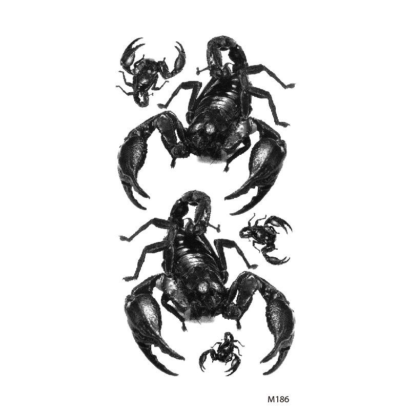 Customize Wolf Dragon Spider Scorpion Animal Temporary Tattoo Designs for Man