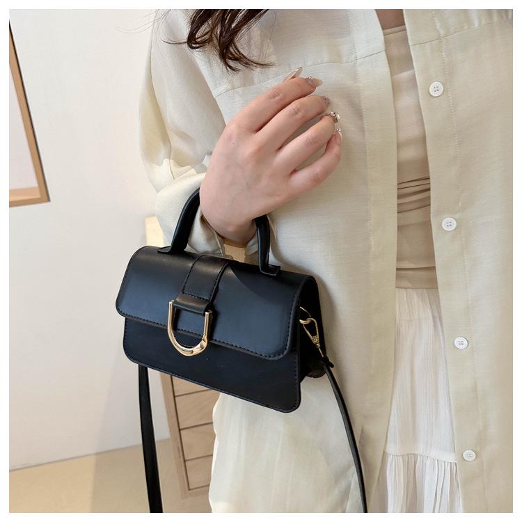 2024 Trendy Women's Small Square Handbag: High-End, Versatile Shoulder & Crossbody Bag