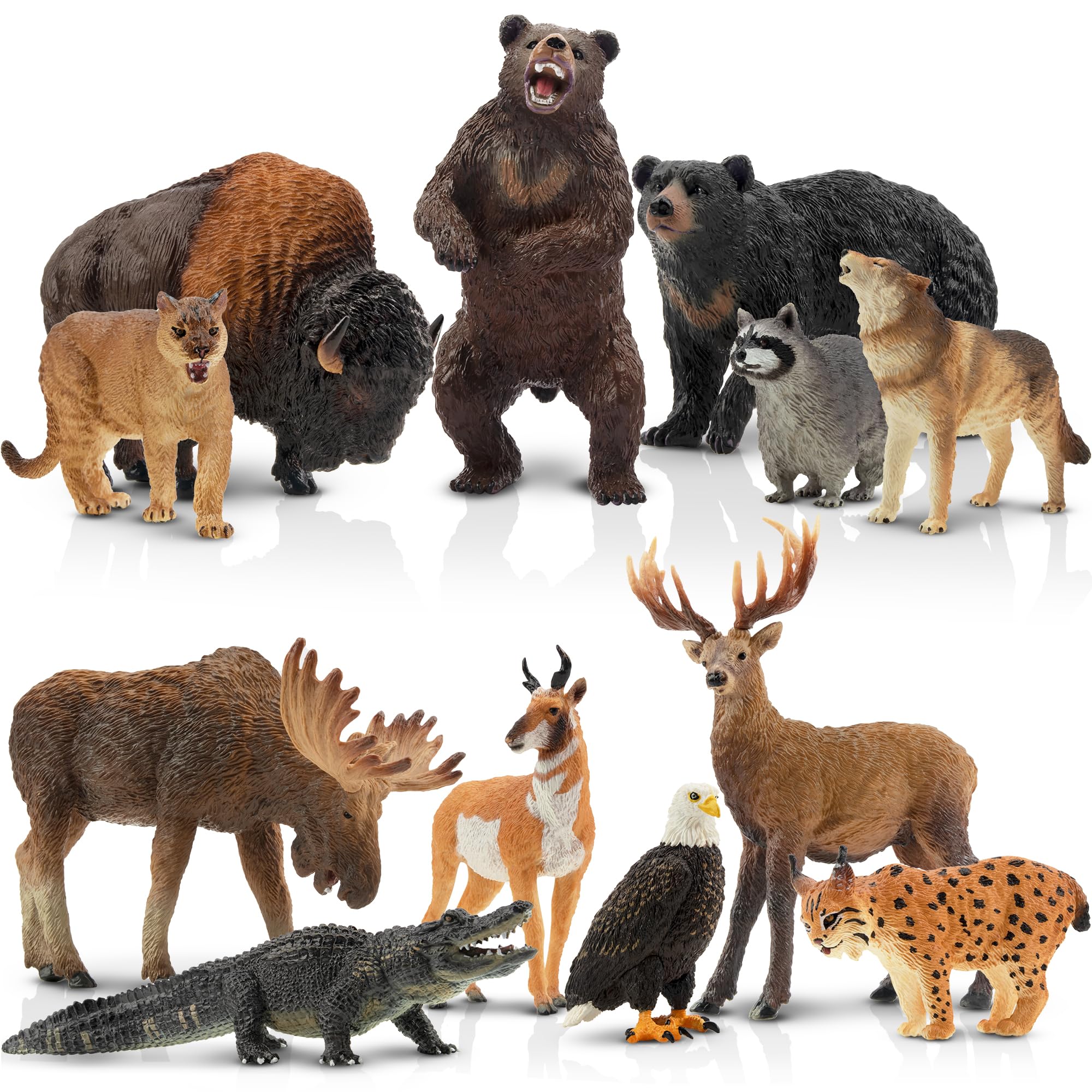 

TOYMANY North American Forest Animals Figure Set, 12 pcs (Hand-Painted, Educational & Display)