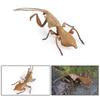 Ornaments Mantis Figurine Educational Praying Mantis Models Simulated Insect  Teaching Aids