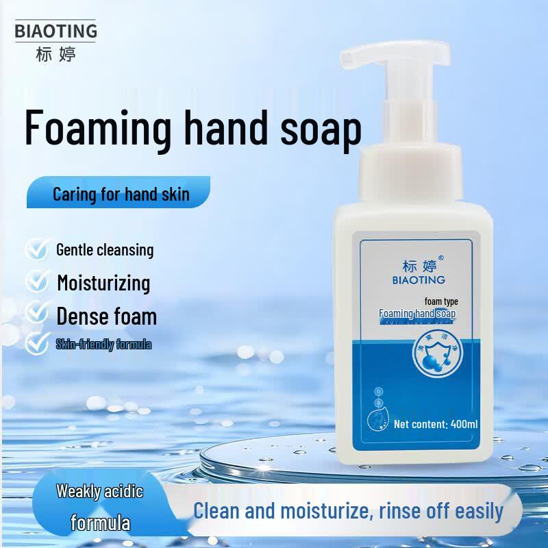 Biaoting Foaming Hand Wash