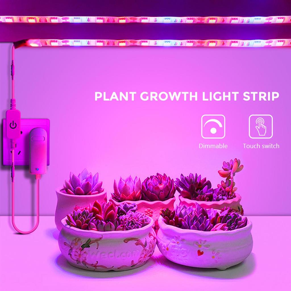 MALITAI 12V LED Grow Light Strip Set For Greenhouse Indoor Vegetable Garden Lamp 5050 SMD LED Full Spectrum Lights For Plants With EU Adapter