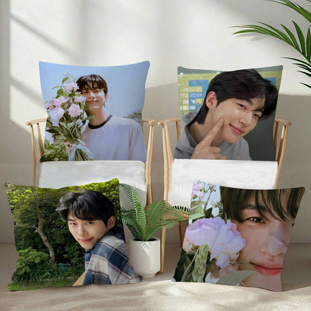 Korean Celebrity Byeon Wooseok   Cushion Cover Decorative Pillow Sofa Home Decor case pillow cases