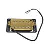 Electric Guitar Accessories: Alnico5 Single and Double Coil Pickups