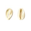 Pack Of 10 Natural Shell Buttons Unique Conch Shape Button Buckles For Fashion Designers And Craft Clothing Project