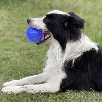 Haustierspielzeugball für Katzen und Hunde - Klingender Zahnreinigungs-Kauknochen Trainingszähne Zubehör Dornloses Kauspielzeug für Welpen
