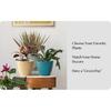 Plastic Round Flower Pot with Tray | Plant Pot for Home, Terrace, Garden Etc | Planter | Pack of 05 | Multicolor | Size 6.5 Inch