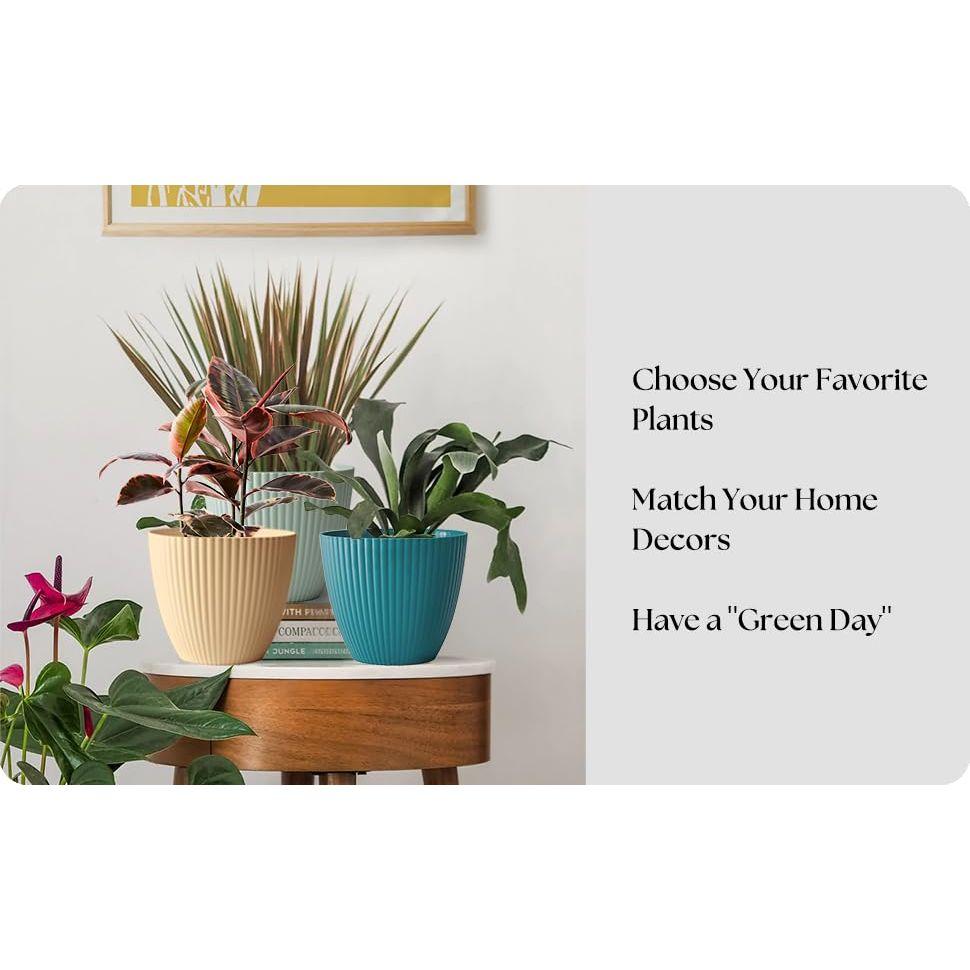 Plastic Round Flower Pot with Tray | Plant Pot for Home, Terrace, Garden Etc | Planter | Pack of 05 | Multicolor | Size 6.5 Inch