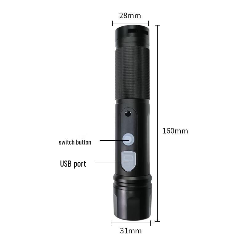Electronic Guard Tour Patrol Wand