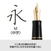 Pilot Custom 74 Black Fountain Pen, Medium 14K Gold Nib, Made in Japan, Model FKKN12SRBM