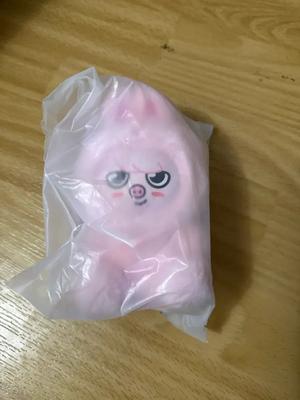 STRAY KIDS Skiju Plastikspielzeug Schwein Changbin Skiju Fankonzert