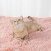 Winter Warm Klein/Mittel Welpen Katzen Hunde Teppich Flauschig Plüsch Haustier Weiche Decke