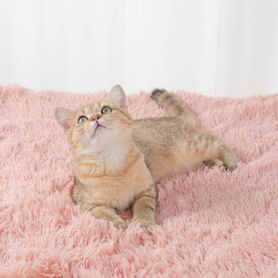 Winter Warm Klein/Mittel Welpen Katzen Hunde Teppich Flauschig Plüsch Haustier Weiche Decke