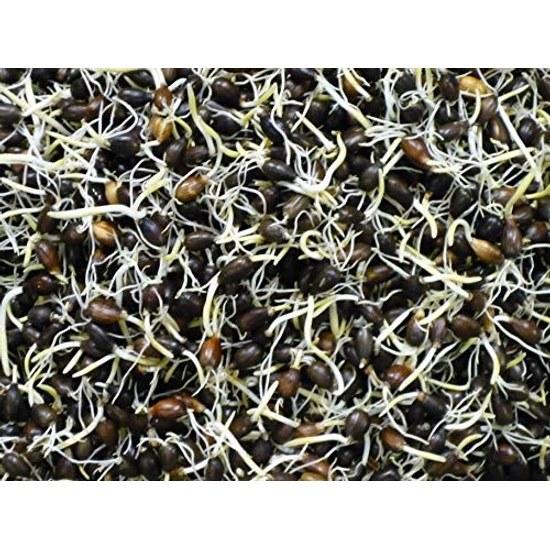 Takachiho Kanpo Kenkyujo Sprouted Jobs Tears Tea (Bulk) 88P