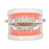 European Hot Selling Six-Tooth Zirconia Vampire Fangs Grill Set for Hip Hop Christmas Parties