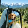 Transportare şi depozitare – Transportarea animalelor