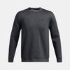 Men's Crewneck Sweatshirt 1387122-001