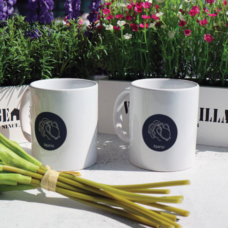 cb615-Design Mug 2p-Aquarius