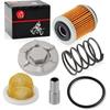 Oil Drain Plug & OIL FILTER + OIL STRAINER + Spring For YAMAHA Raptor 350 Warrior 350 Big Bear 350 400 Wolverine 350 Moto 4 YFM350ER