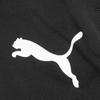 Puma Calças de treino Team Liga 3/4