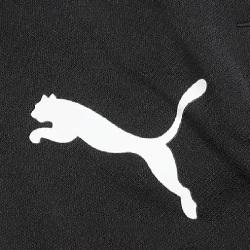 Puma Team Liga Training 3 4 Pants